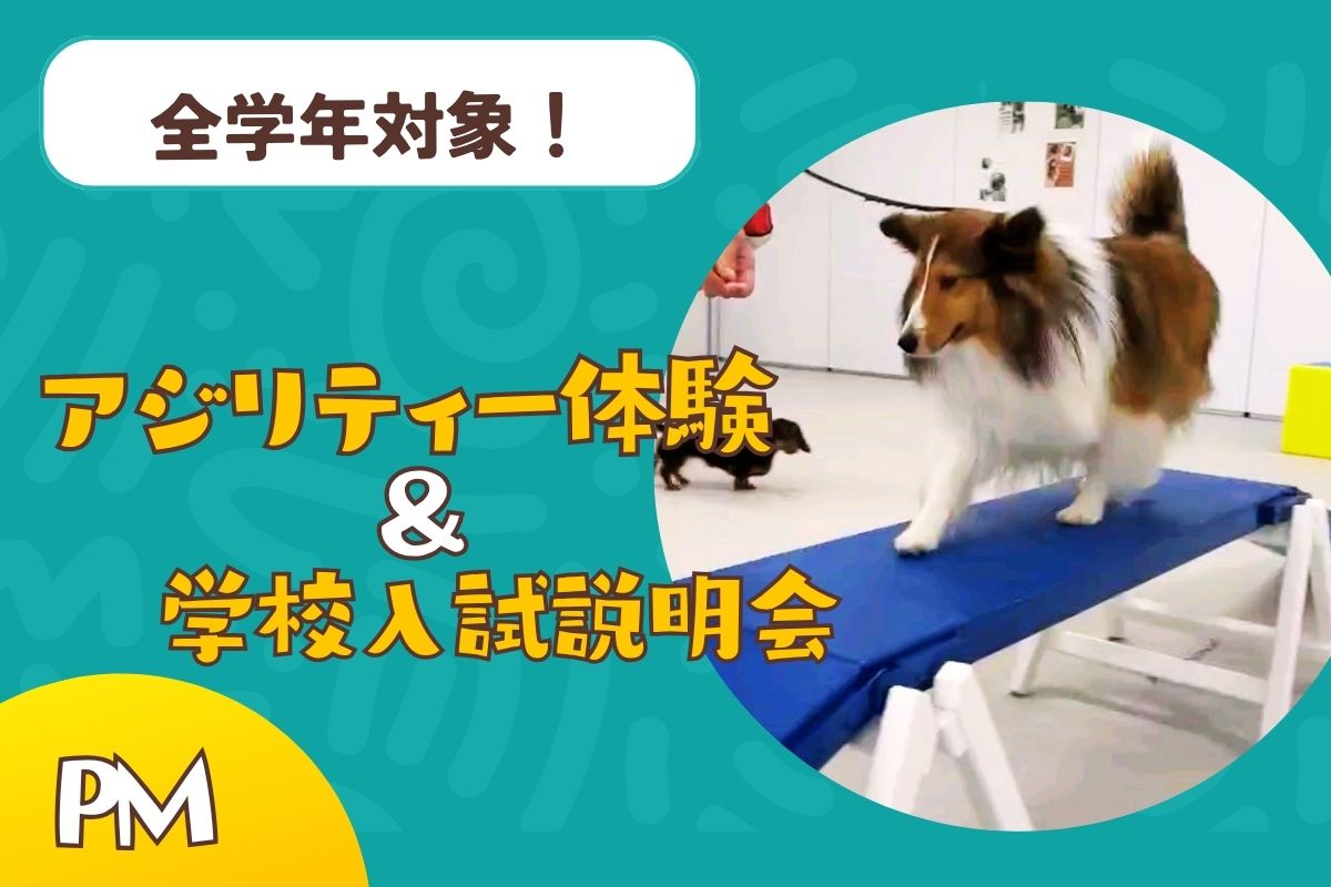 横浜動物専門学校のオープンキャンパス