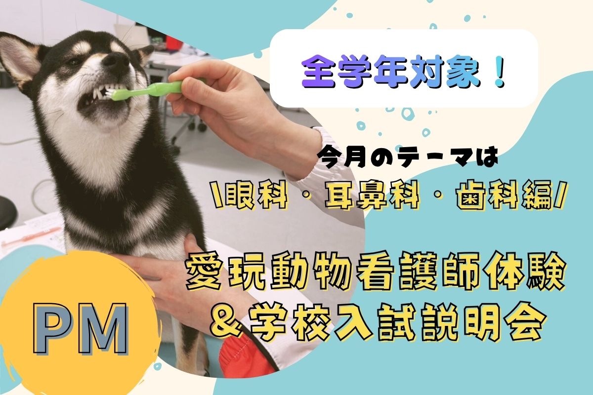横浜動物専門学校のcampusgallery