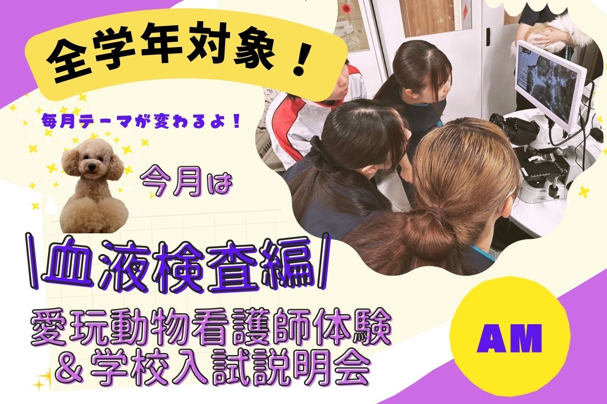 横浜動物専門学校のオープンキャンパス