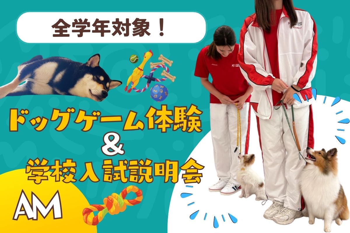横浜動物専門学校のオープンキャンパス