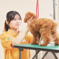 国際動物専門学校のオープンキャンパス