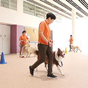 ヤマザキ動物専門学校のcampusgallery
