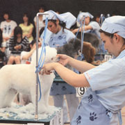 ヤマザキ動物専門学校のcampusgallery