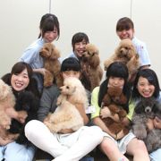 写真6