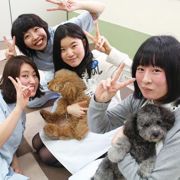 写真8