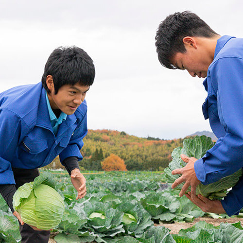 タキイ研究農場付属 園芸専門学校のオープンキャンパス