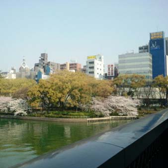 写真2
