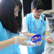 写真2