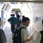 写真3