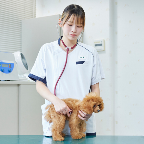 大宮国際動物専門学校のオープンキャンパス
