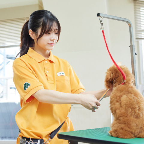 大宮国際動物専門学校のオープンキャンパス