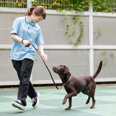 大宮国際動物専門学校のオープンキャンパス