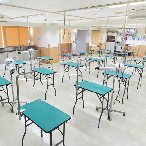 大宮国際動物専門学校のオープンキャンパス