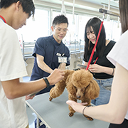 中央動物専門学校のcampusgallery