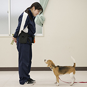 中央動物専門学校のcampusgallery