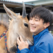 写真0