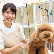 写真1