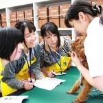 とっておきニュース