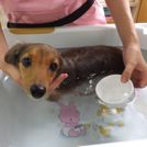 とっておきニュース