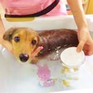 とっておきニュース
