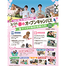 とっておきニュース
