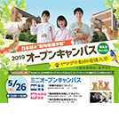 とっておきニュース