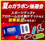 とっておきニュース写真