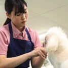 とっておきニュース