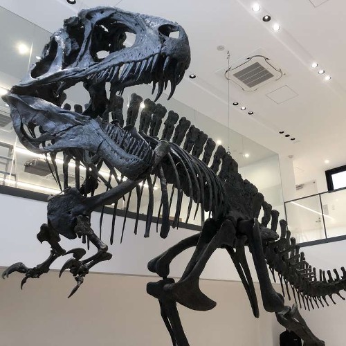 TCA東京ECO動物海洋専門学校