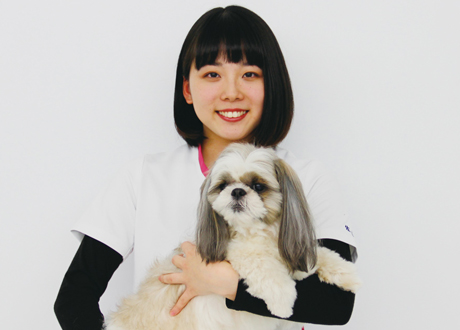 専門学校 ちば愛犬動物フラワー学園