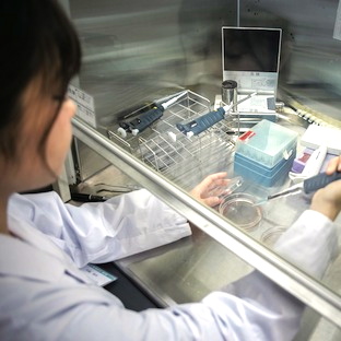 化粧品基礎科学