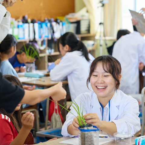 研究・授業内容写真