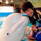 プロ・先輩写真