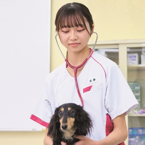 国際動物専門学校1