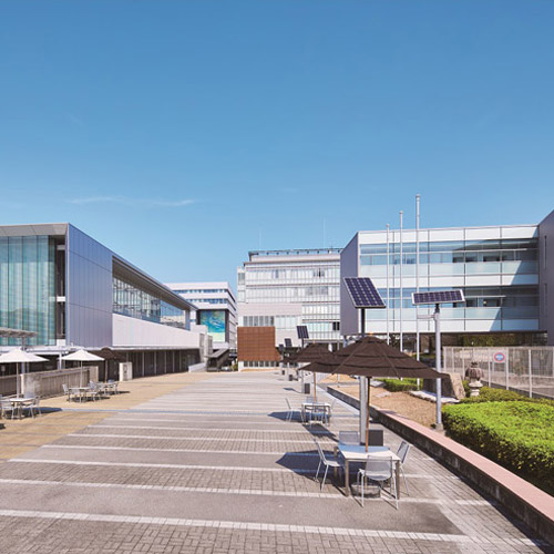 愛知淑徳大学1
