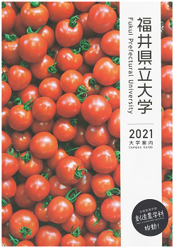 国公立大学偏差値 全国国公立大学の学部学科別偏差値一覧 日本の学校