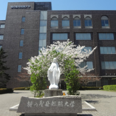 桜の聖母短期大学1