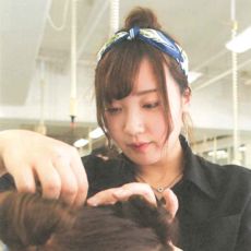 メイン写真