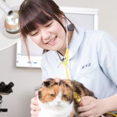 メイン写真