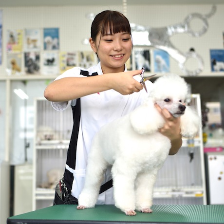 メイン写真