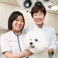 メイン写真