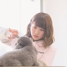 メイン写真