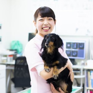 動物看護師 士 になるには 大学 短期大学 専門学校の進学情報なら日本の学校