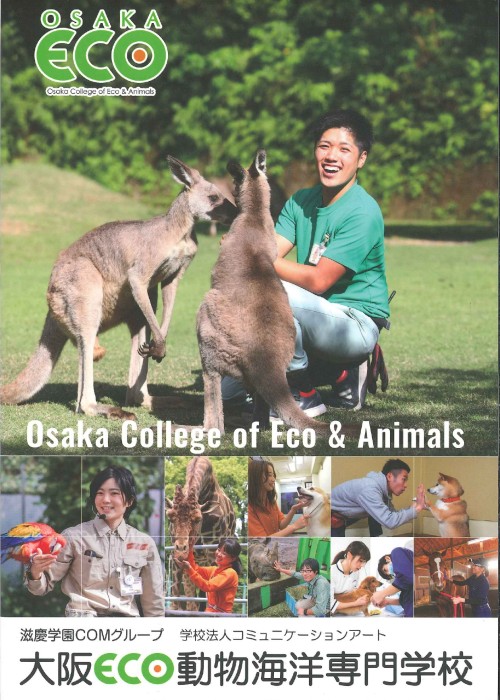 大阪ｅｃｏ動物海洋専門学校 学校案内や願書など資料請求 Js日本の学校
