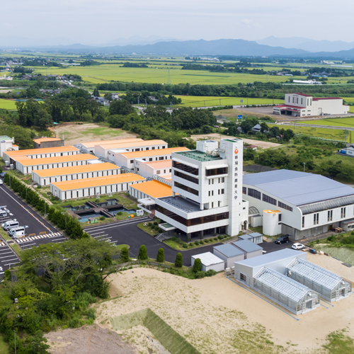 新潟食料農業大学のオープンキャンパス