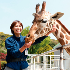 専門学校 全国の水族館スタッフを目指せる学校特集 オススメ31校 ｊｓ日本の学校