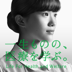 メイン写真