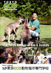 ｔｃａ東京ｅｃｏ動物海洋専門学校の施設 設備 学生寮の情報 日本の学校