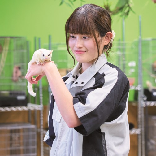 国際動物専門学校2