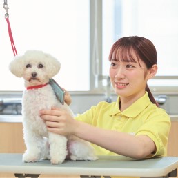 国際動物専門学校4